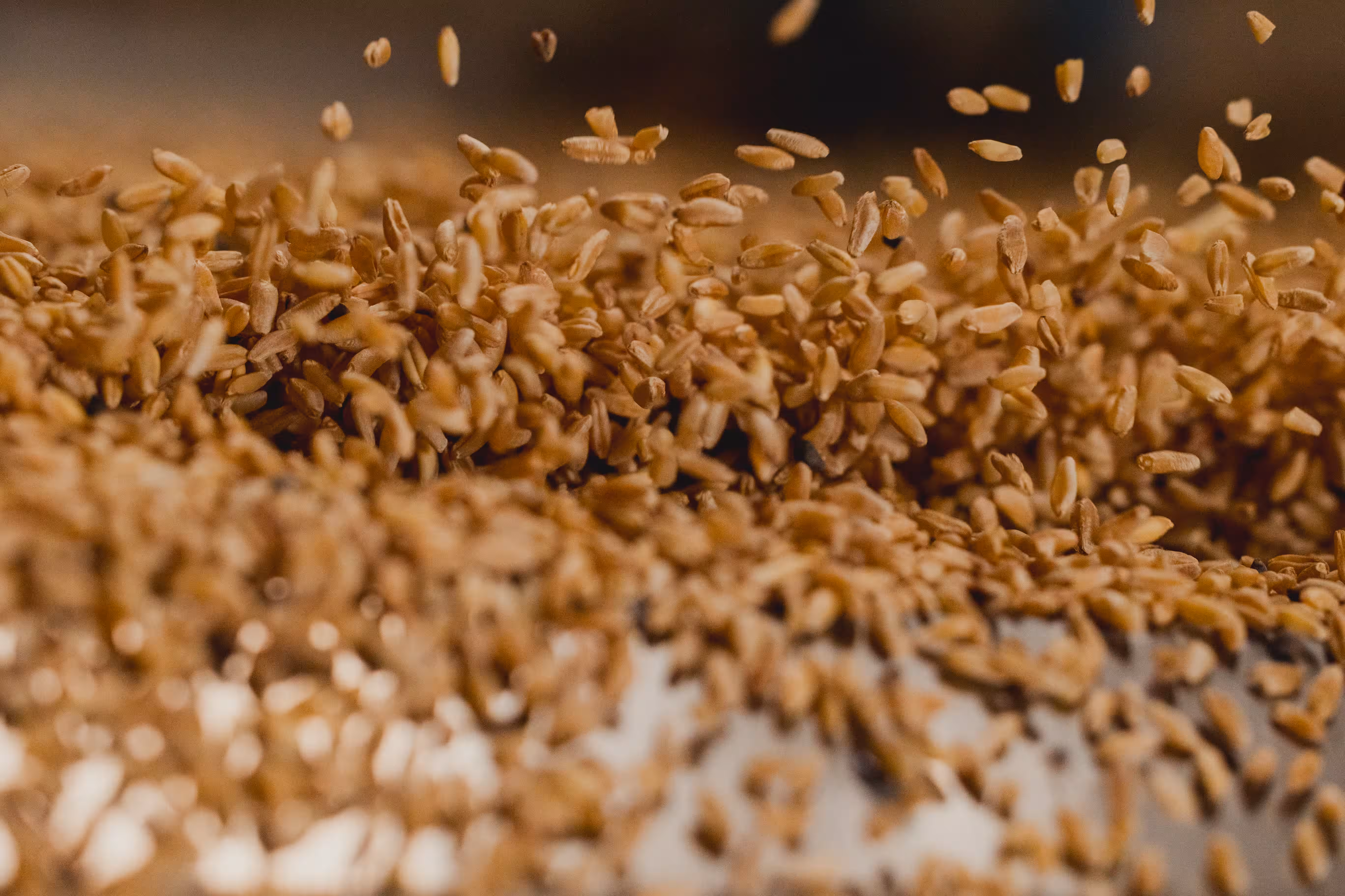 LIMPIEZA Y SELECCIÓN